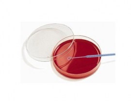 AGAR SALMONELLA SHIGELLA EM PLACAS - 10 PLACAS